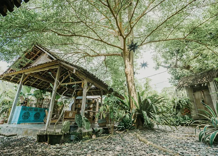 Near Bali Zoo Hostel *