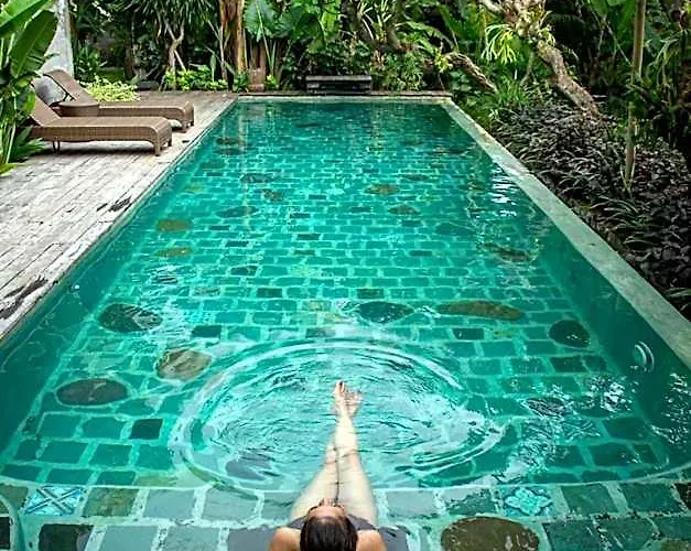 Near Bali Zoo Hostel *